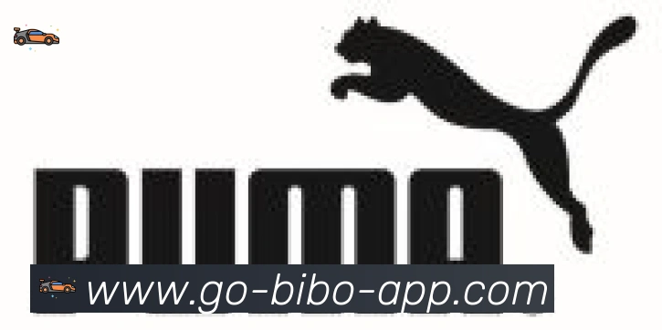 必博bibo官网体育合作伙伴